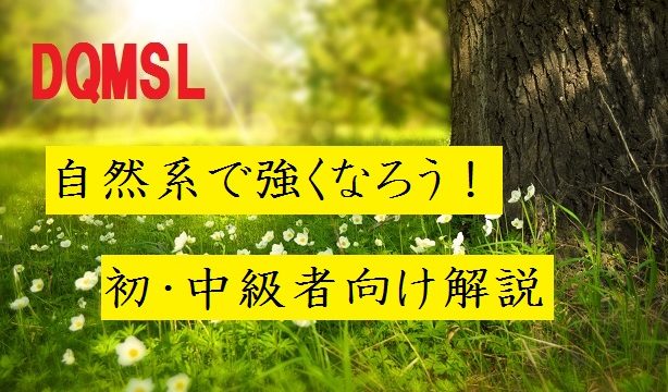 Dqmsl 星4 4ウルスラの作り方 初心者向けにわかりやすく解説 パワーアップ じゅんのーと